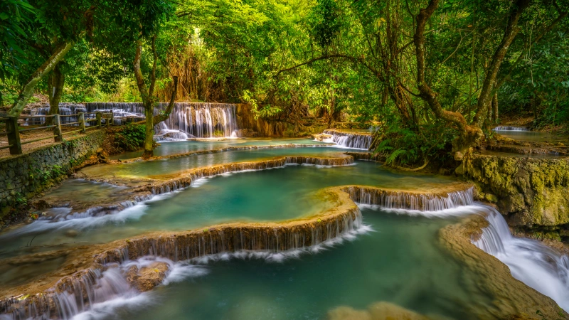 治愈系森林瀑布 阳光绿水潭 4K 风景壁纸